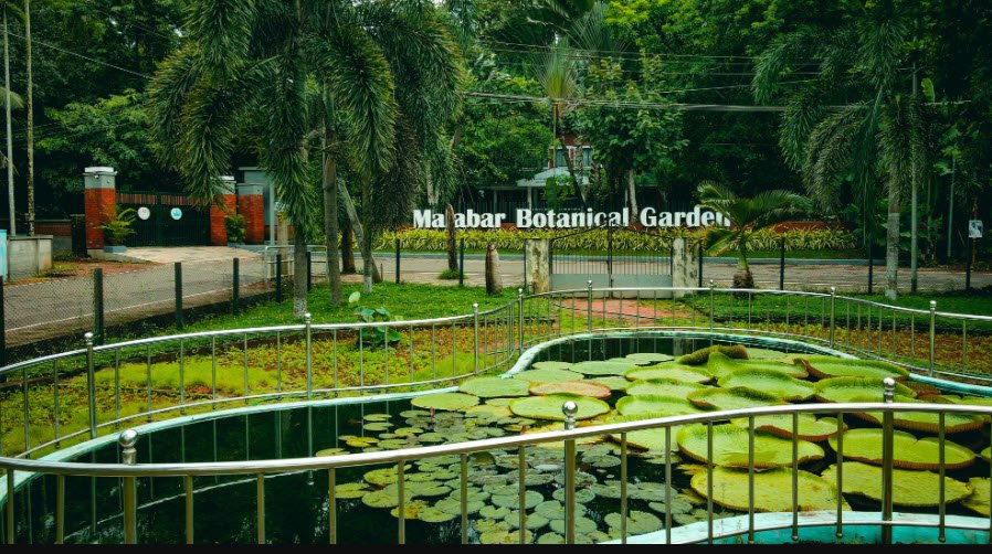 Malabar Botanical Garden and Institute for Plant Sciences [KSCSTE MBGIPS], India